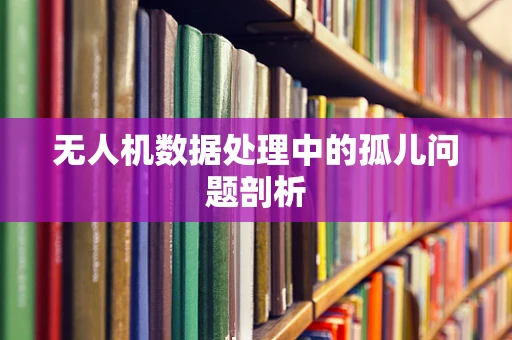 无人机数据处理中的孤儿问题剖析