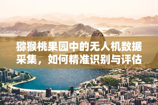 猕猴桃果园中的无人机数据采集，如何精准识别与评估？