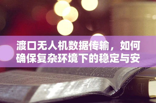 渡口无人机数据传输，如何确保复杂环境下的稳定与安全？