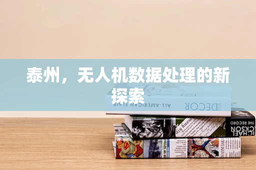 泰州，无人机数据处理的新探索