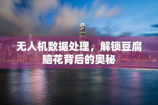 无人机数据处理，解锁豆腐脑花背后的奥秘
