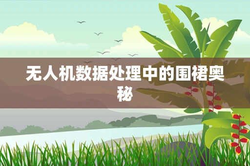 无人机数据处理中的围裙奥秘