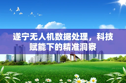 遂宁无人机数据处理，科技赋能下的精准洞察
