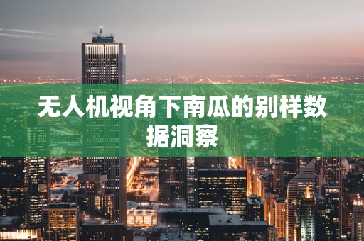 无人机视角下南瓜的别样数据洞察