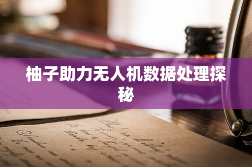 柚子助力无人机数据处理探秘