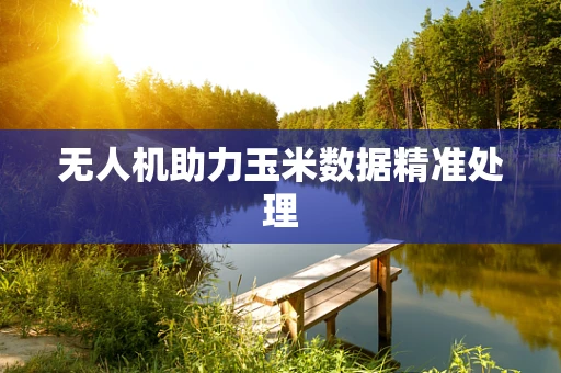 无人机助力玉米数据精准处理