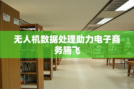 无人机数据处理助力电子商务腾飞