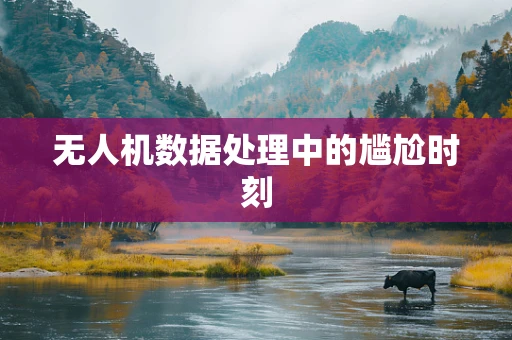 无人机数据处理中的尴尬时刻