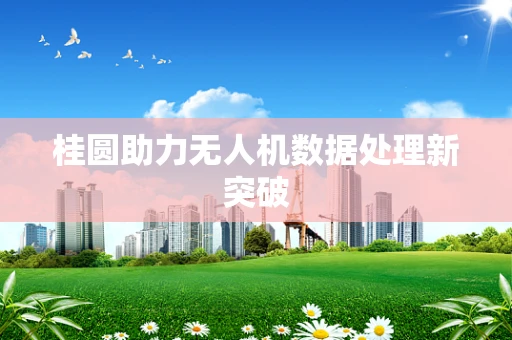 桂圆助力无人机数据处理新突破