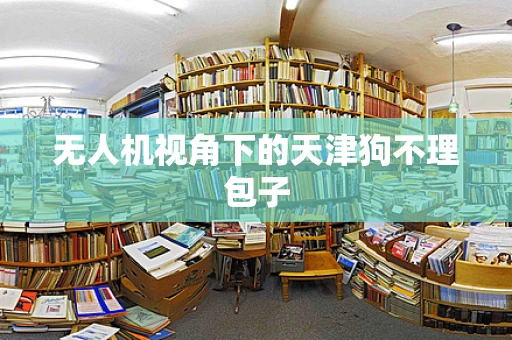 无人机视角下的天津狗不理包子