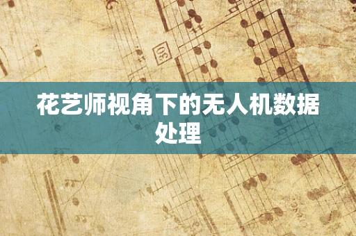 花艺师视角下的无人机数据处理