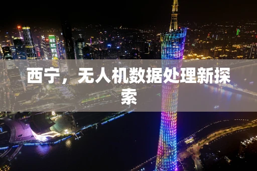 西宁，无人机数据处理新探索