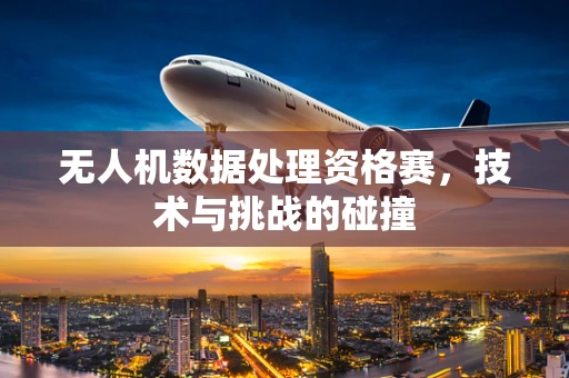 无人机数据处理资格赛，技术与挑战的碰撞