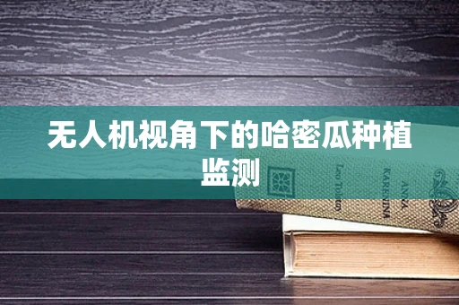 无人机视角下的哈密瓜种植监测