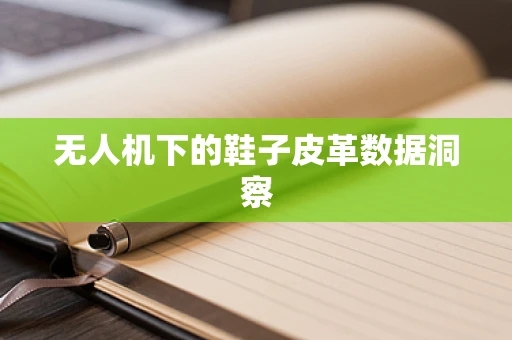 无人机下的鞋子皮革数据洞察