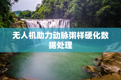 无人机助力动脉粥样硬化数据处理