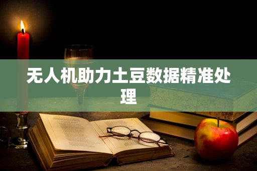 无人机助力土豆数据精准处理