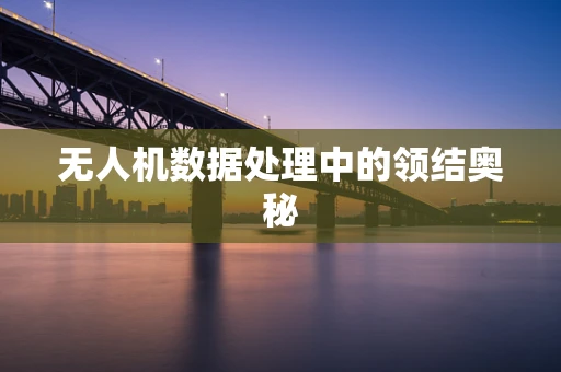 无人机数据处理中的领结奥秘