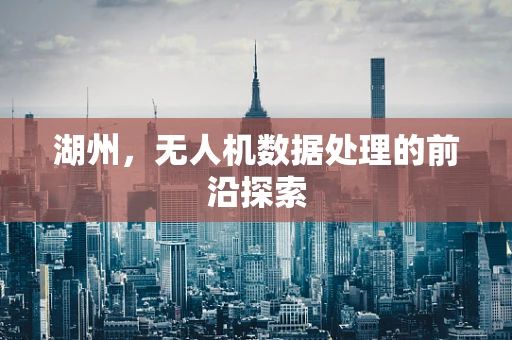 湖州，无人机数据处理的前沿探索