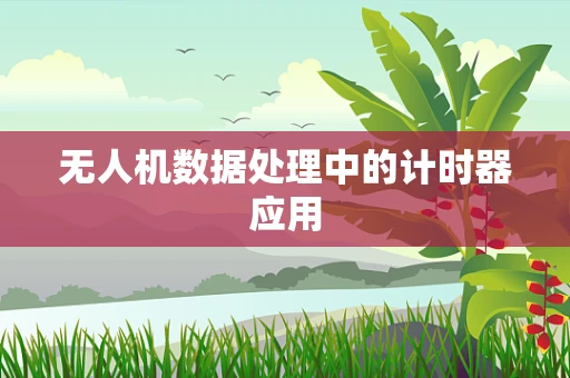 无人机数据处理中的计时器应用