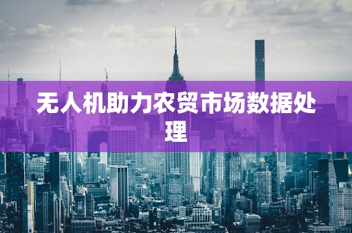 无人机助力农贸市场数据处理