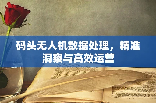 码头无人机数据处理，精准洞察与高效运营