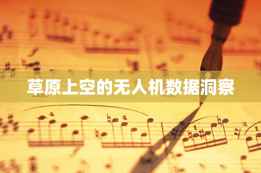 草原上空的无人机数据洞察