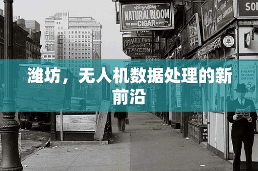 潍坊，无人机数据处理的新前沿