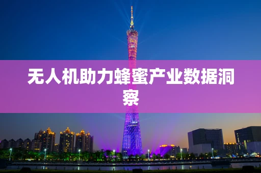 无人机助力蜂蜜产业数据洞察