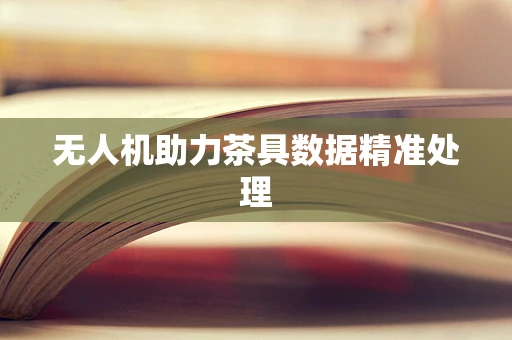 无人机助力茶具数据精准处理