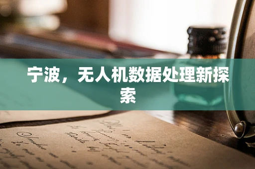 宁波，无人机数据处理新探索