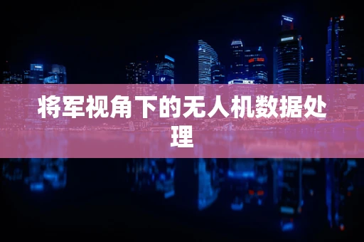 将军视角下的无人机数据处理