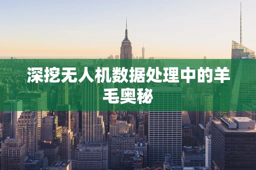 深挖无人机数据处理中的羊毛奥秘