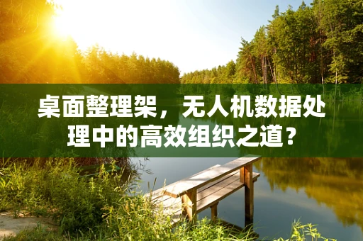桌面整理架，无人机数据处理中的高效组织之道？