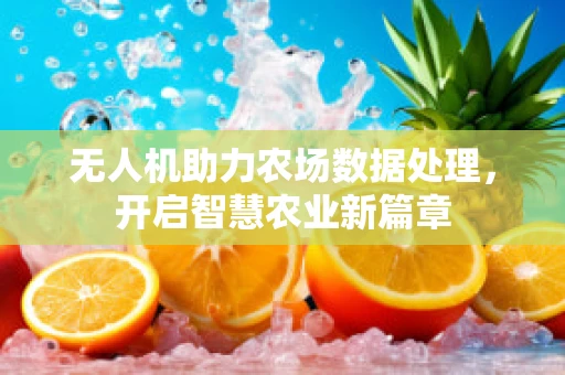 无人机助力农场数据处理，开启智慧农业新篇章