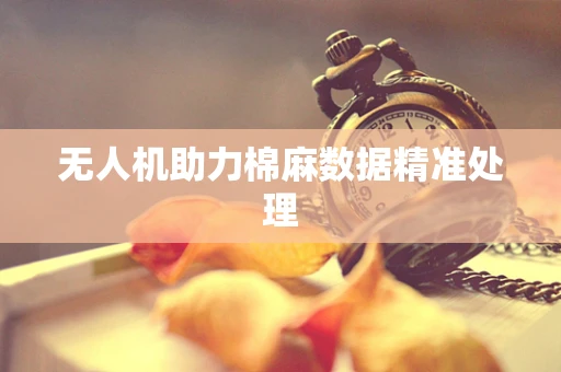 无人机助力棉麻数据精准处理