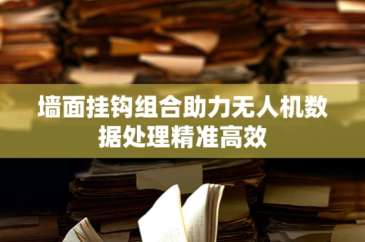 墙面挂钩组合助力无人机数据处理精准高效