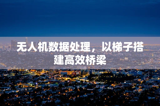无人机数据处理，以梯子搭建高效桥梁