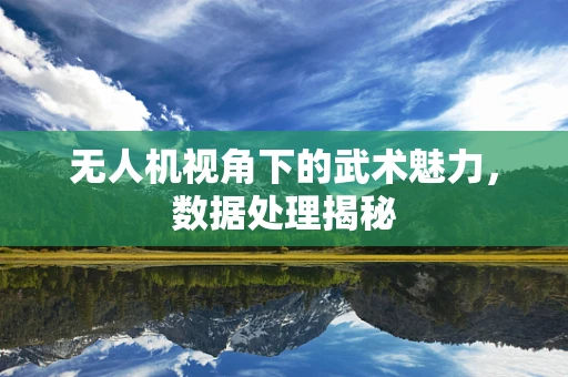 无人机视角下的武术魅力，数据处理揭秘