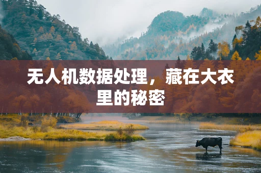 无人机数据处理，藏在大衣里的秘密