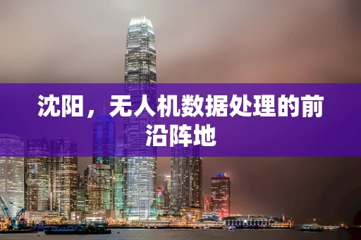 沈阳，无人机数据处理的前沿阵地
