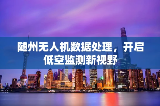 随州无人机数据处理，开启低空监测新视野