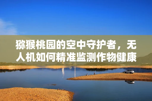 猕猴桃园的空中守护者，无人机如何精准监测作物健康？