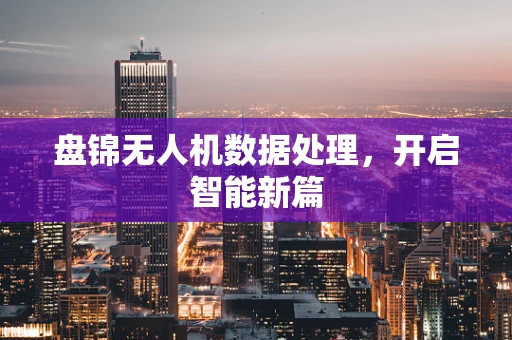 盘锦无人机数据处理，开启智能新篇