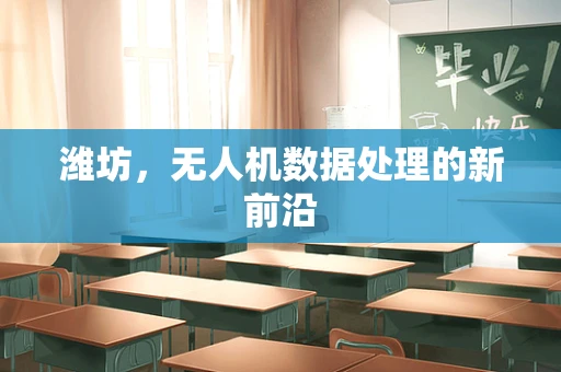 潍坊，无人机数据处理的新前沿