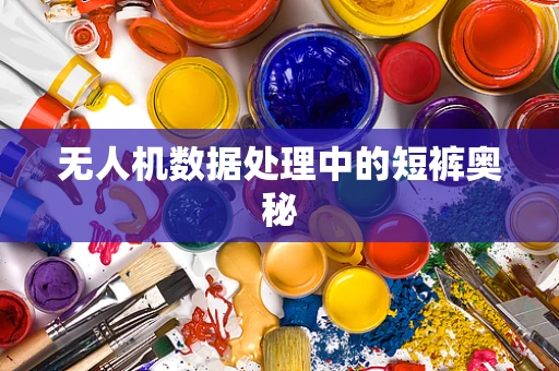 无人机数据处理中的短裤奥秘
