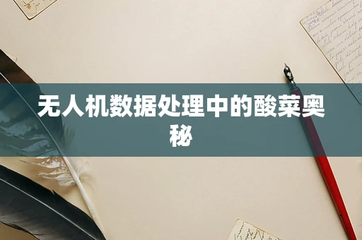 无人机数据处理中的酸菜奥秘
