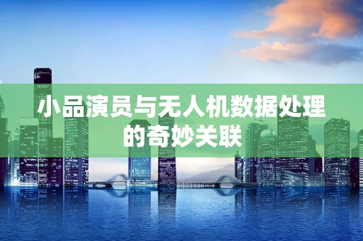 小品演员与无人机数据处理的奇妙关联