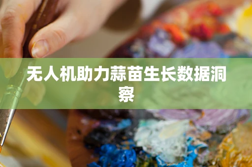 无人机助力蒜苗生长数据洞察