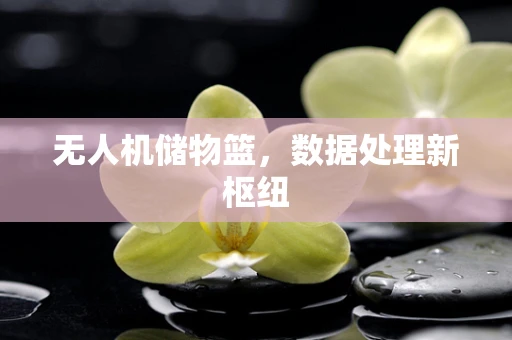 无人机储物篮，数据处理新枢纽